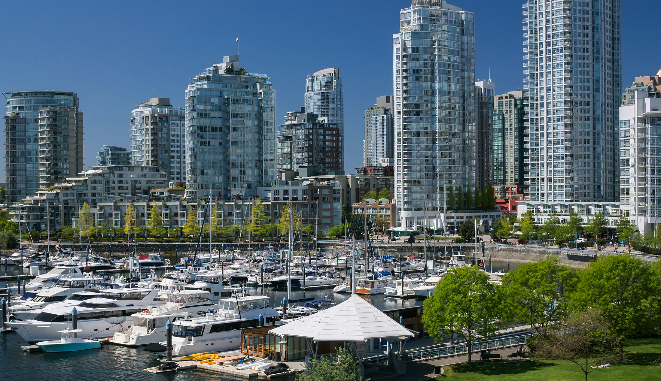 Buildings and yachts in downtown vancouver